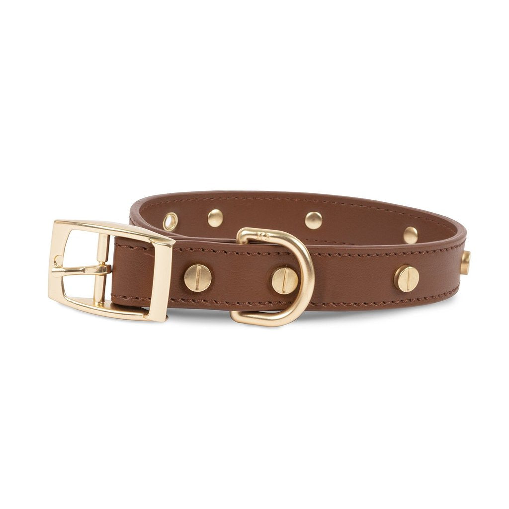 Statement Stud Collar - Multiple Sizes