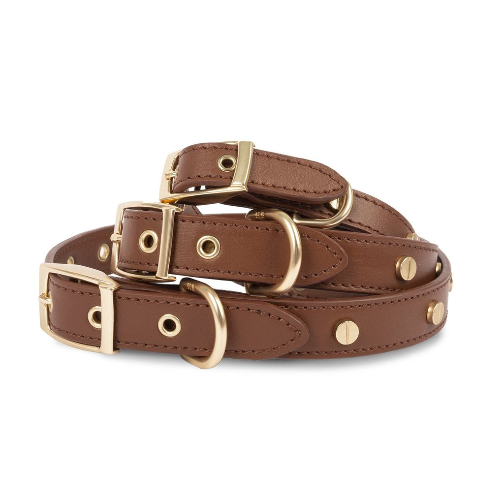 Statement Stud Collar - Multiple Sizes