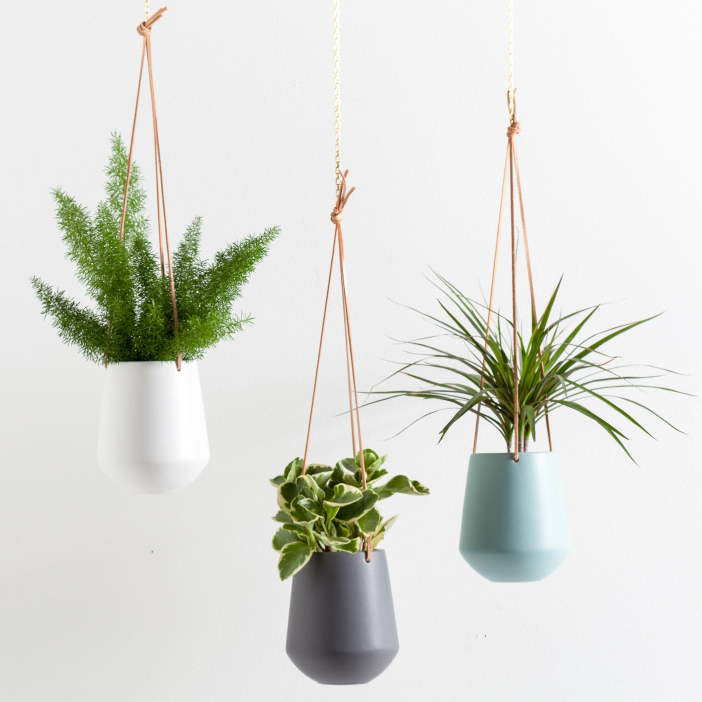 Large Ashbury Hanging Planter