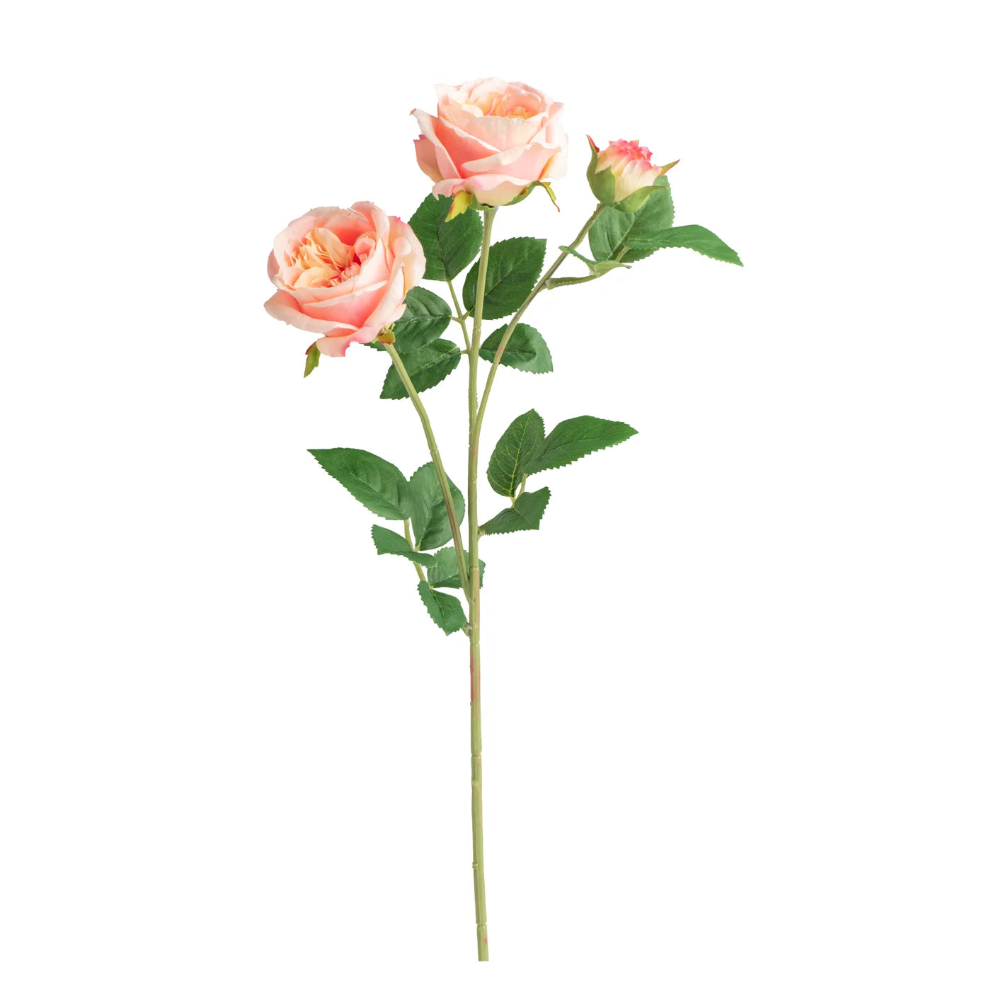 Crown Rose 3Bloom Stem - Peach