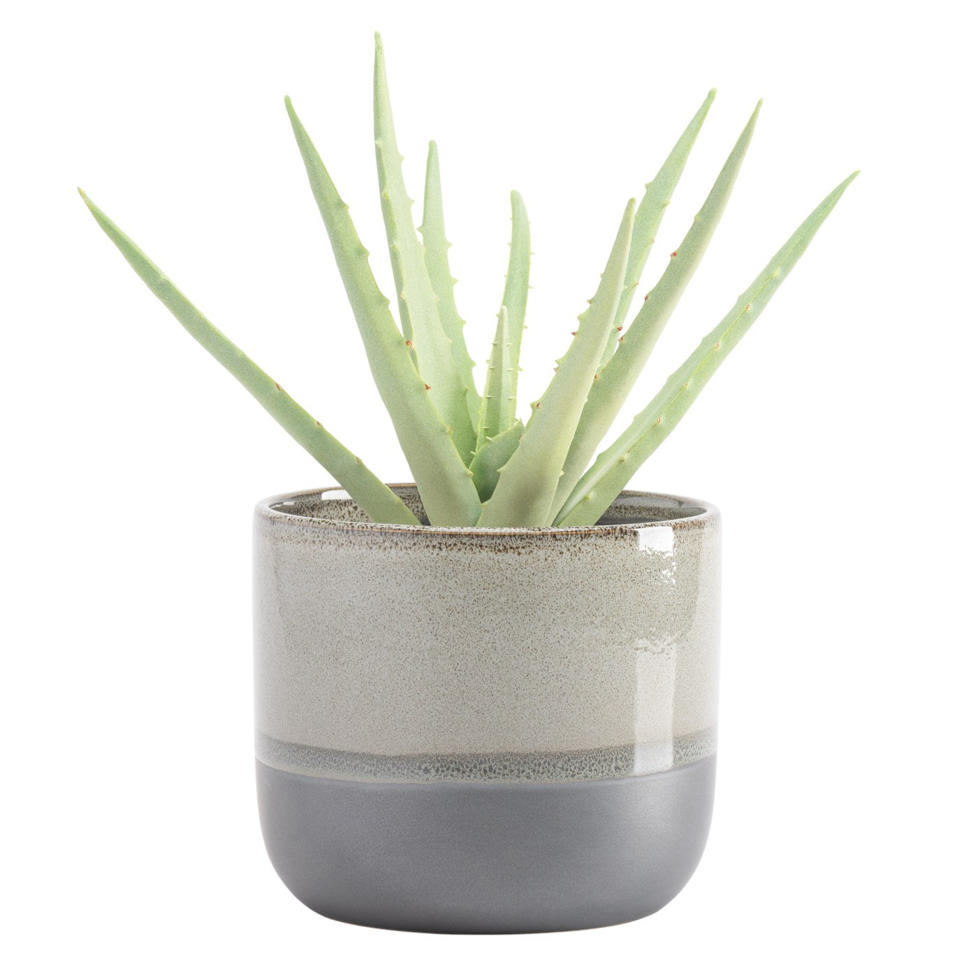 6" Tolo Two Tone Planter - G
