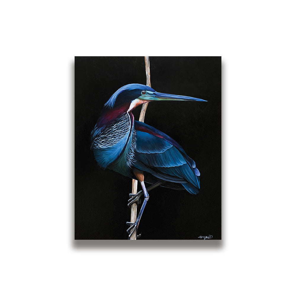 16"x20" Gessoboard - Heron