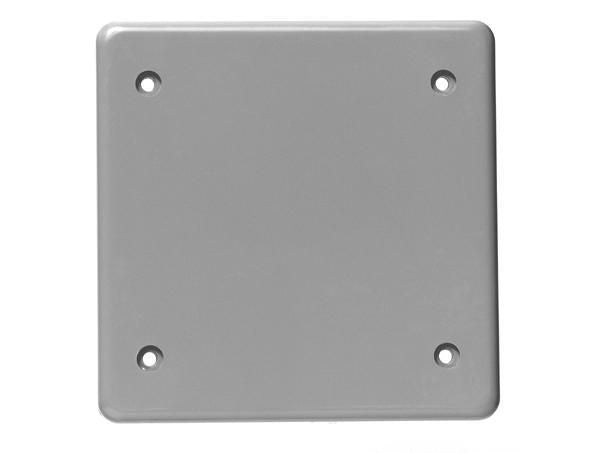 FS DG Blank Cover