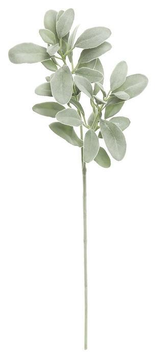 28" Lamb's Ear Spray - G/G