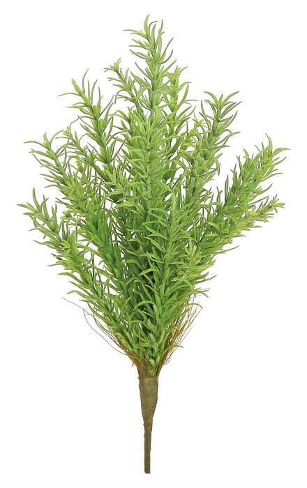 13" Rosemary Bush - Sage
