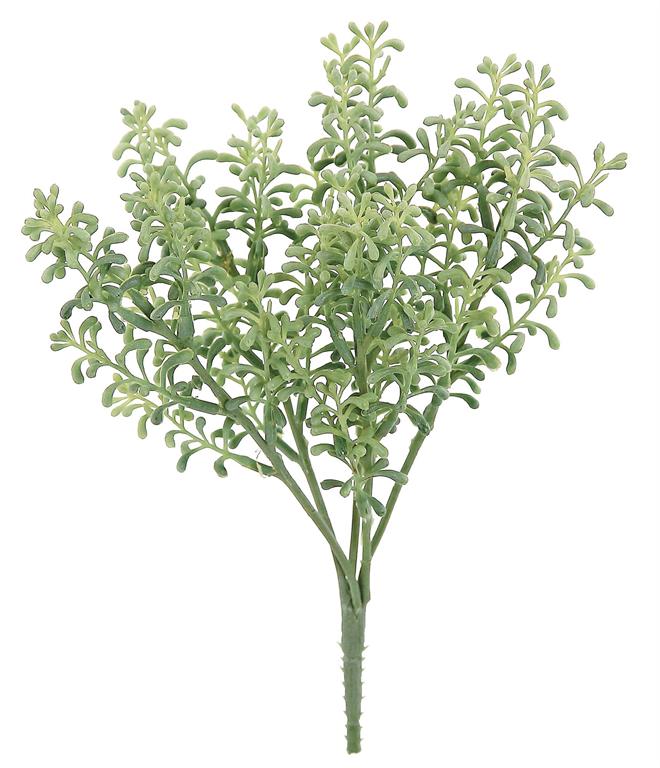 10" Sedum Bush - Sage