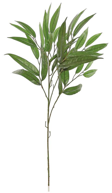 31" Needle Leaf Eucalyptus