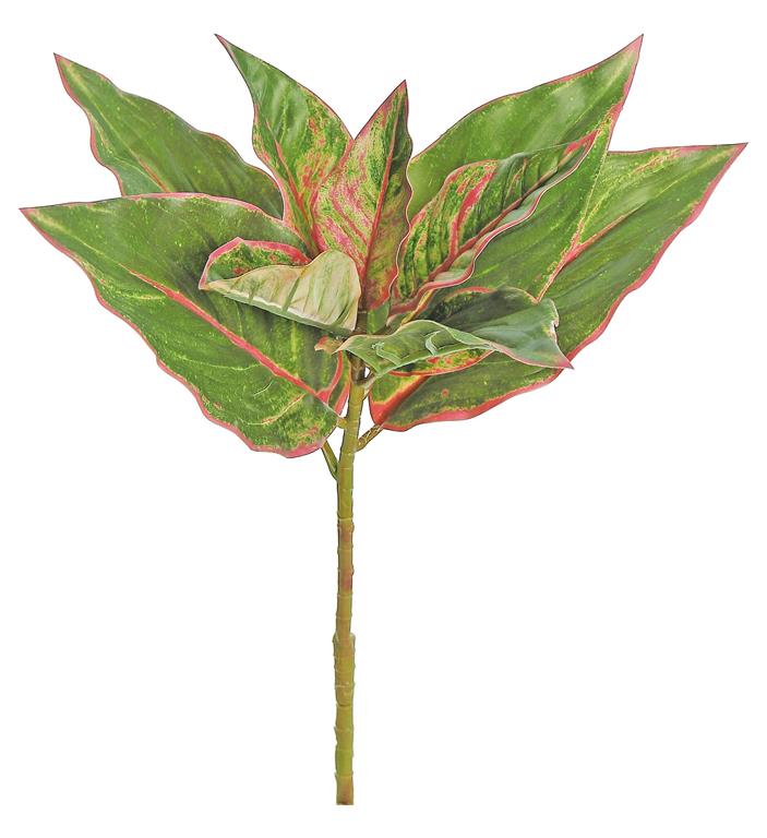 16" Natural Evergreen Plant