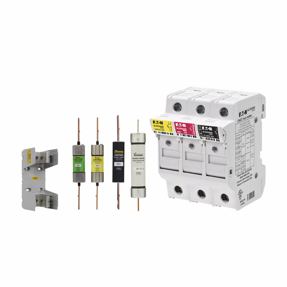 60A 250V TD Fuse