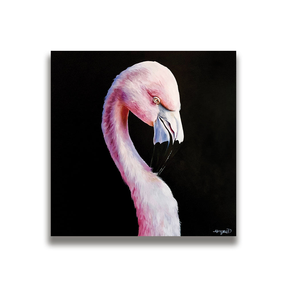 20"x20" Canvas - Flamingo