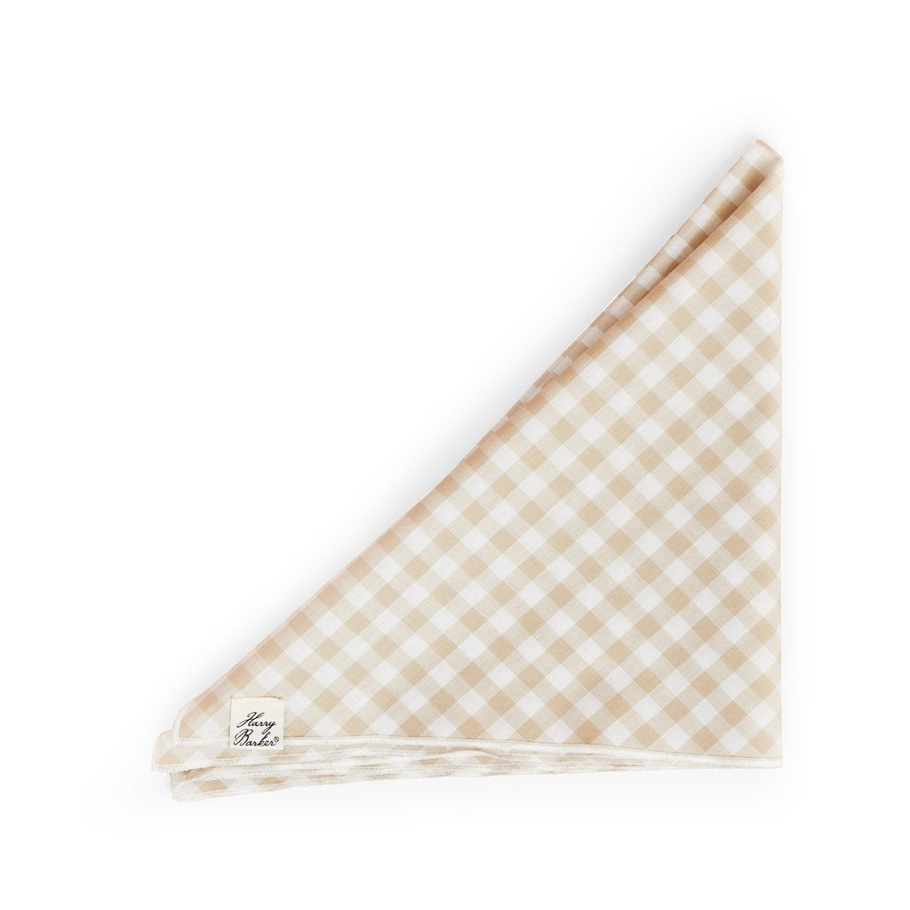 Farmhouse Check Bandana