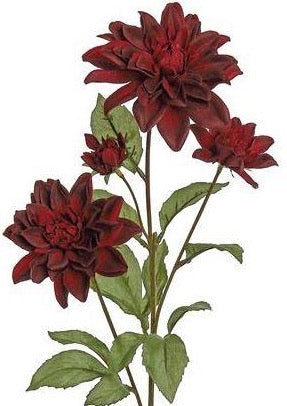 29" Dahlia - Wine