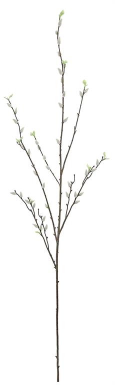 Pussy Willow Branch - Natural