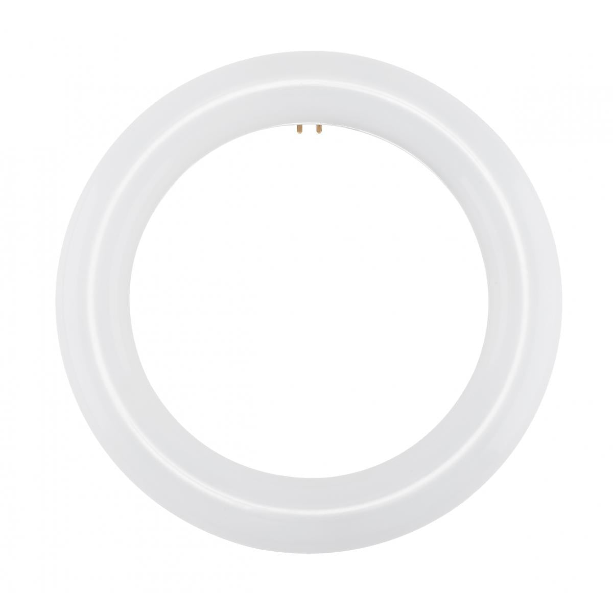 LED Circline 3000K (FC8)