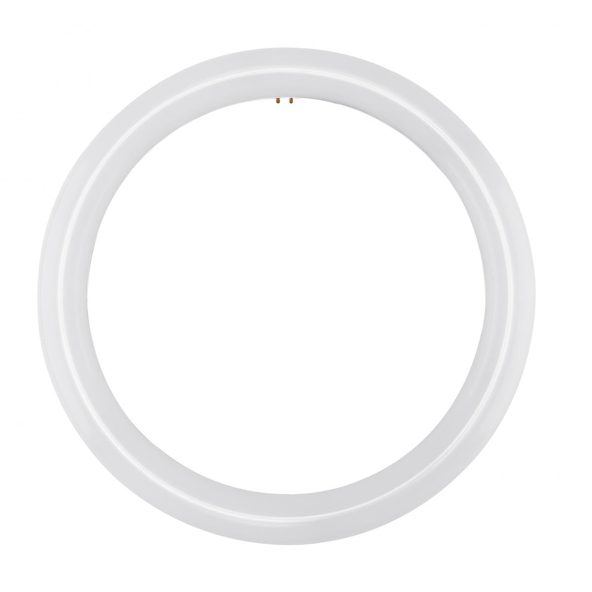 LED Circline 3000K (FC12)