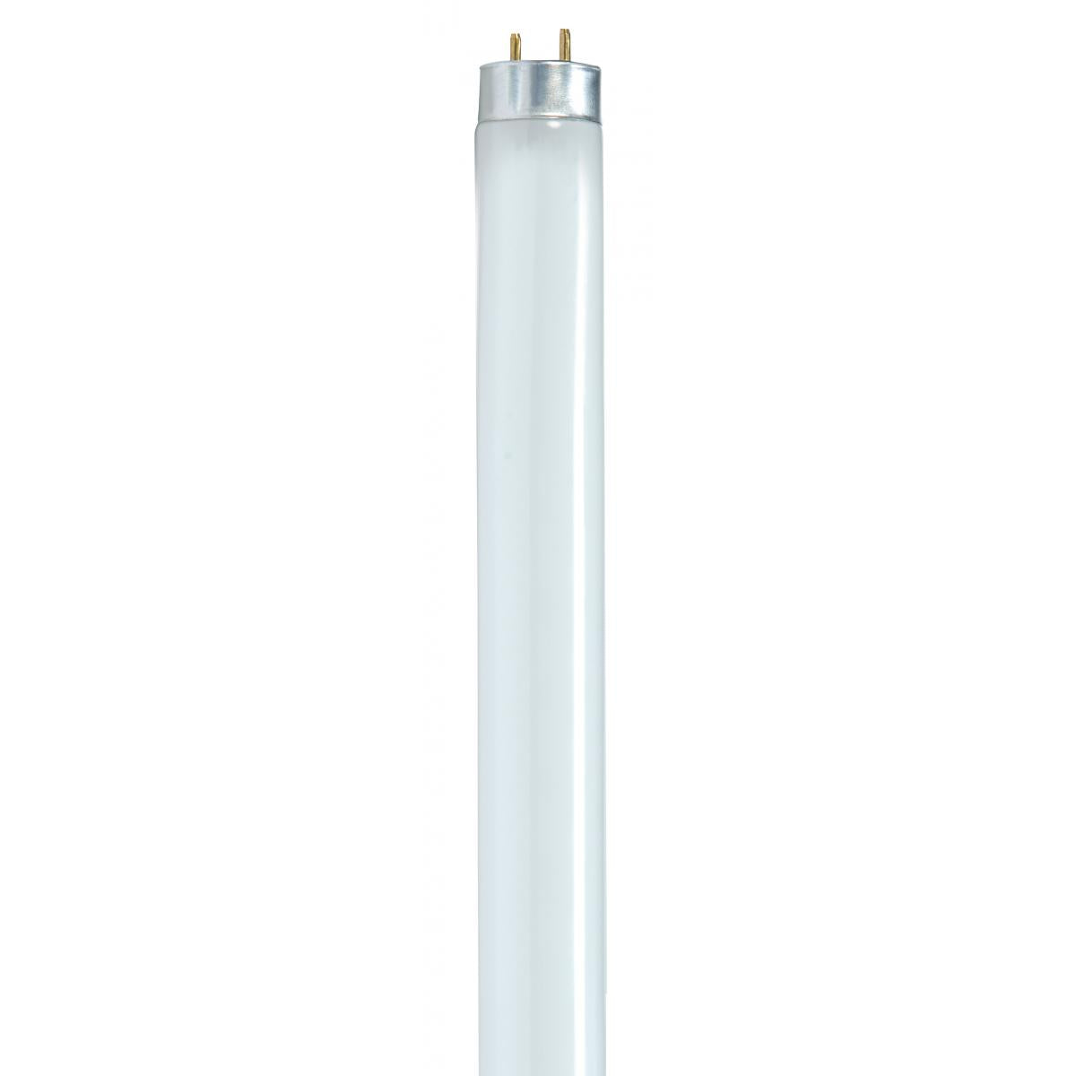 4' T8 Fluorescent Bulb