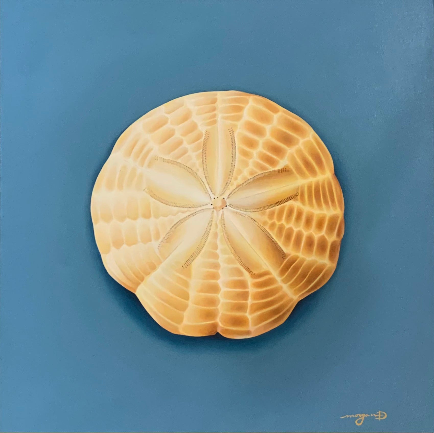 Sand Dollar Painting