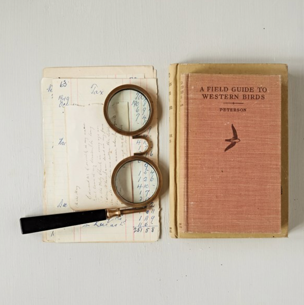 Spectacle Magnifying Glass