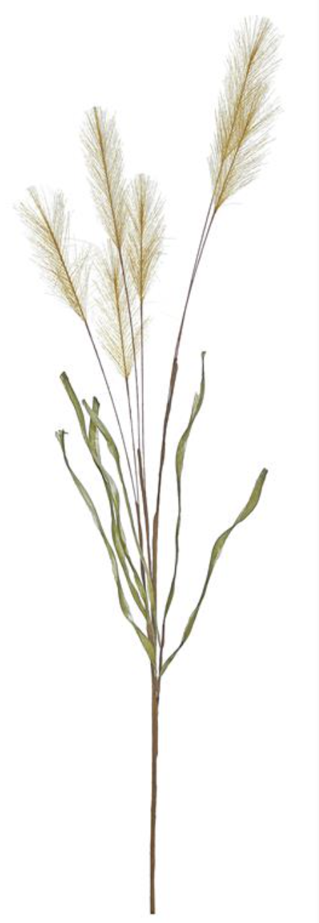 36" Pampas Grass - Gold