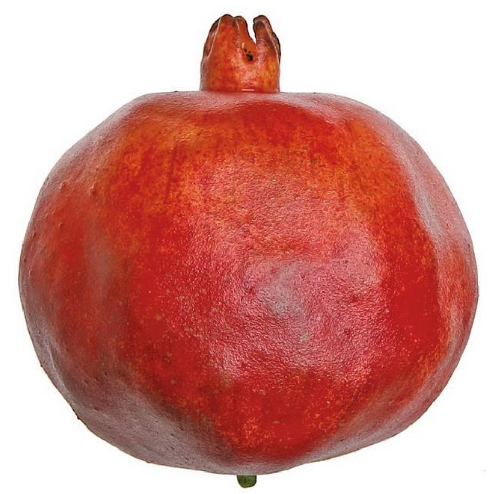 4" Pomegranate - Dark Red