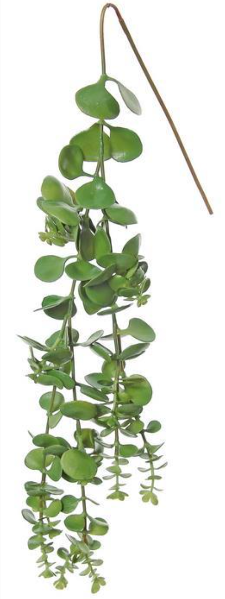 22" Hanging Succulent Vine - Green