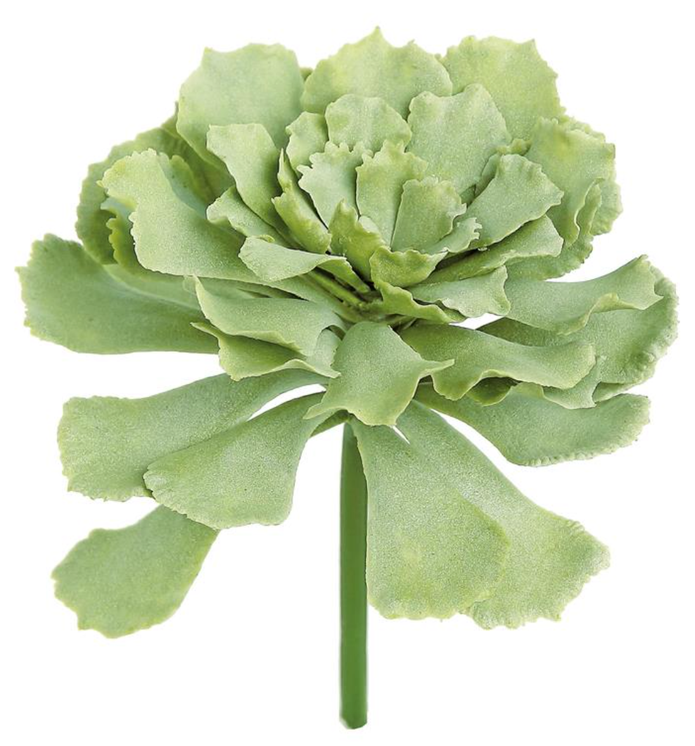 5" Ruffled Leaf Succulent - Sage