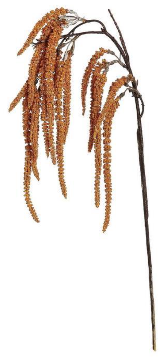 29" Autumn Amaranthus - Rust