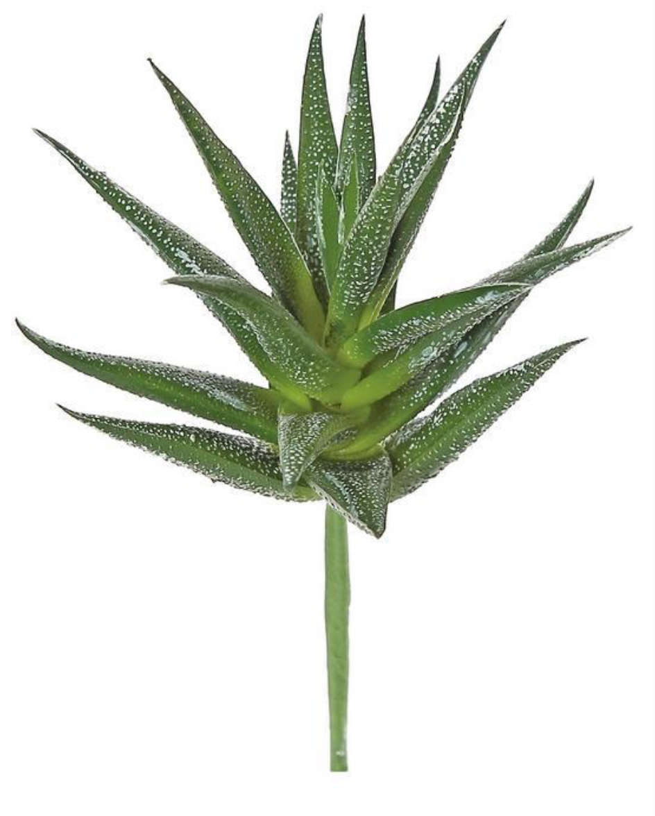 7.5" Mini Aloe Plant - Green