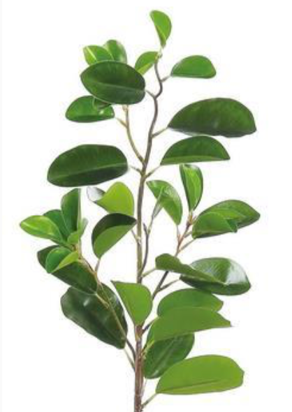 30" Paddle Ficus Leaf Spray