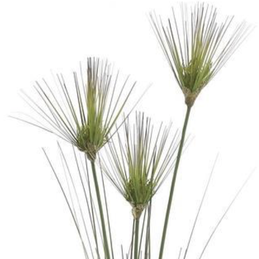 28.5" Grass Bloom x3 - Green