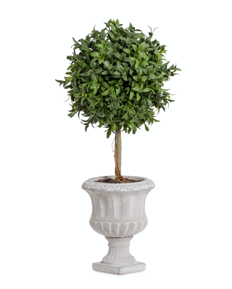 18" Arabella Potted - Single