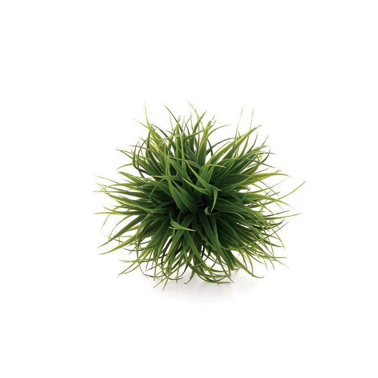 Grass Ball Small