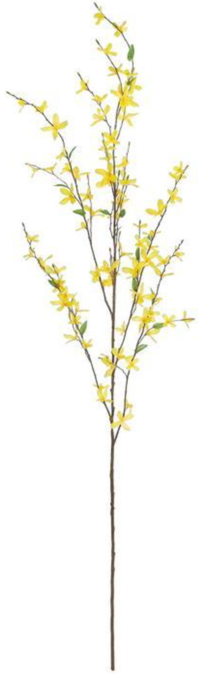 55" Forsythia Spray - Gold