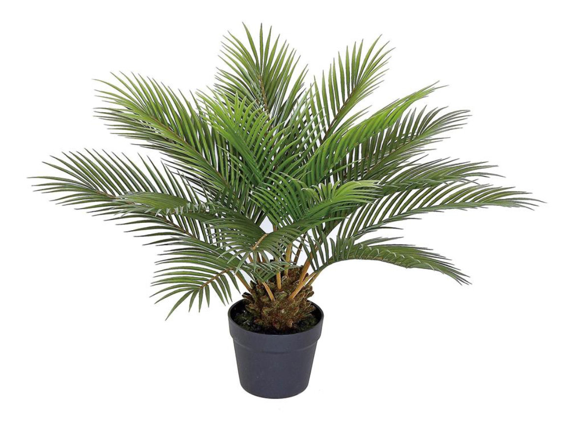 25" Potted Palm Plant - Green
