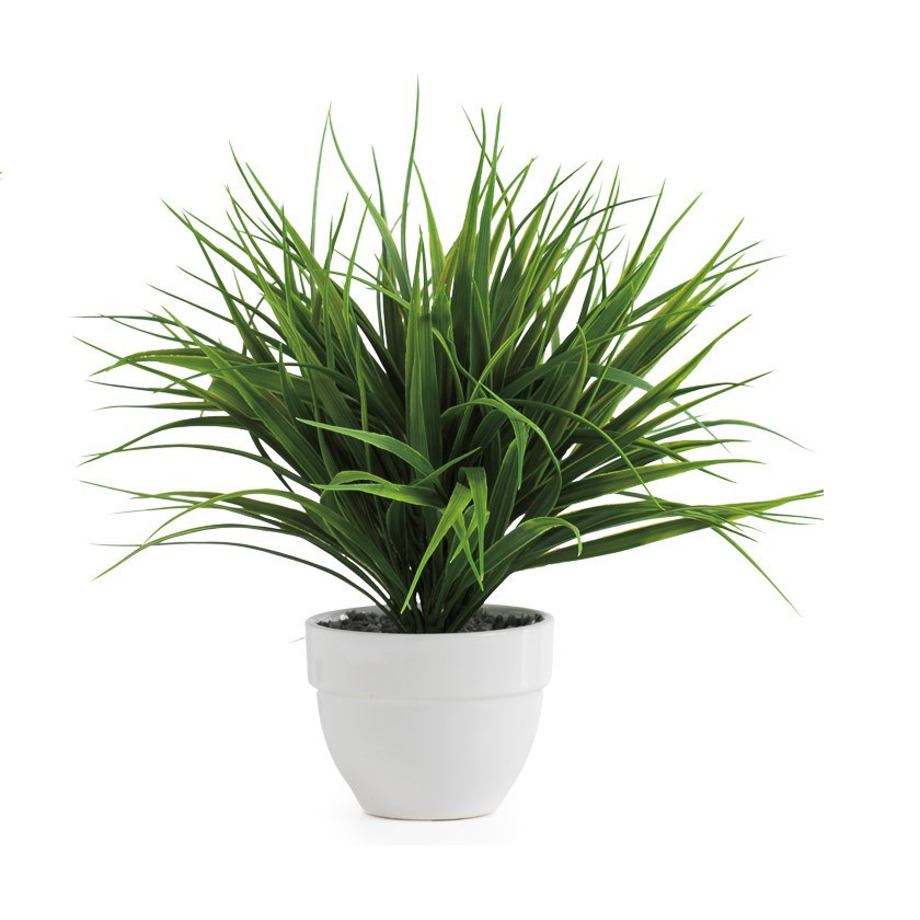 Grass Plant - Dark Green