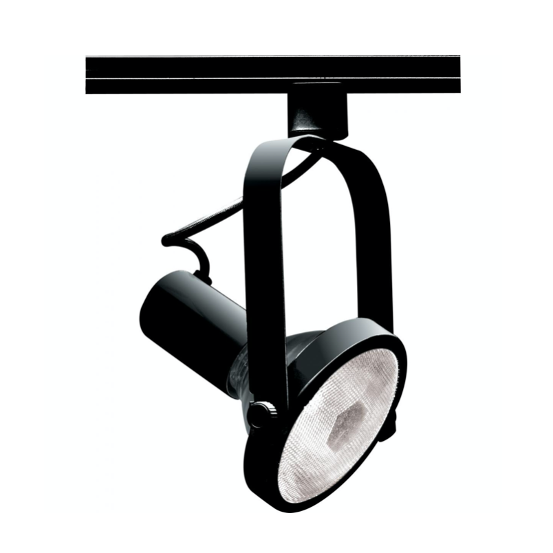 PAR30 Gimbal Track Head