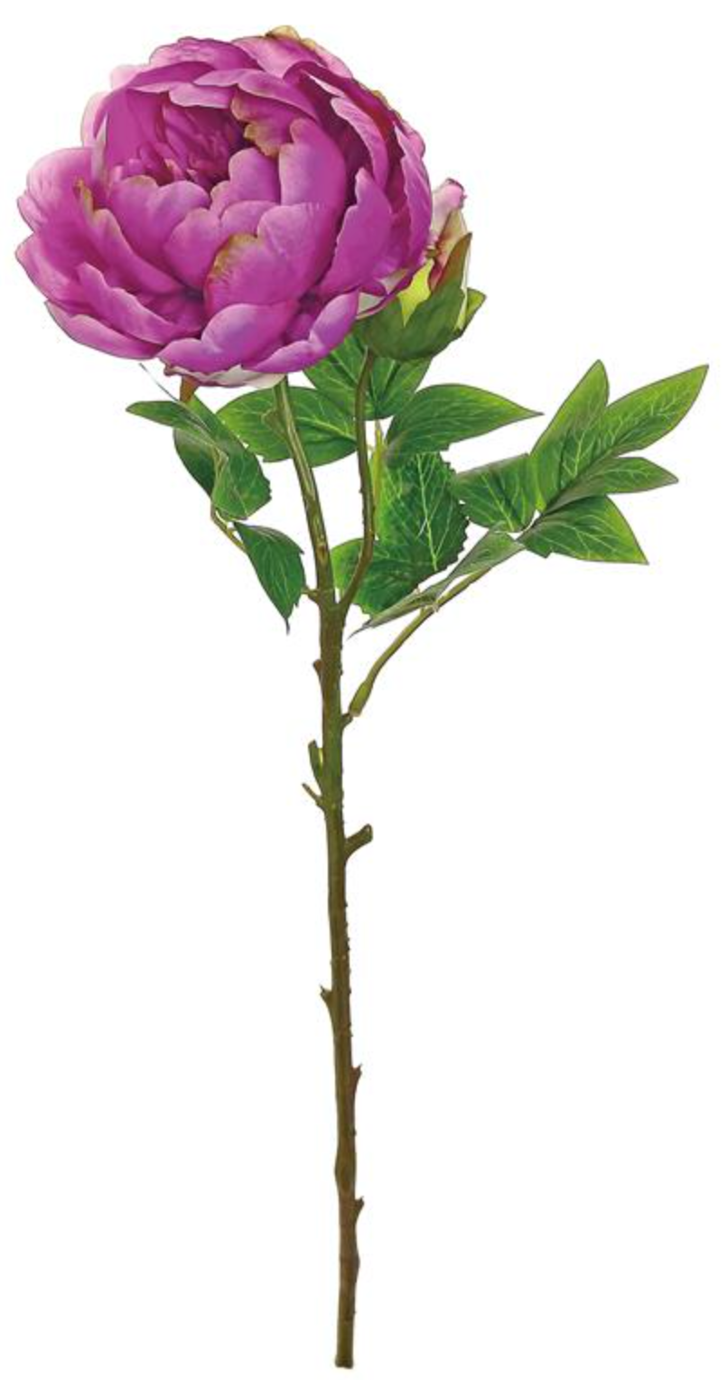 24" Peony w/ Bud - Magenta