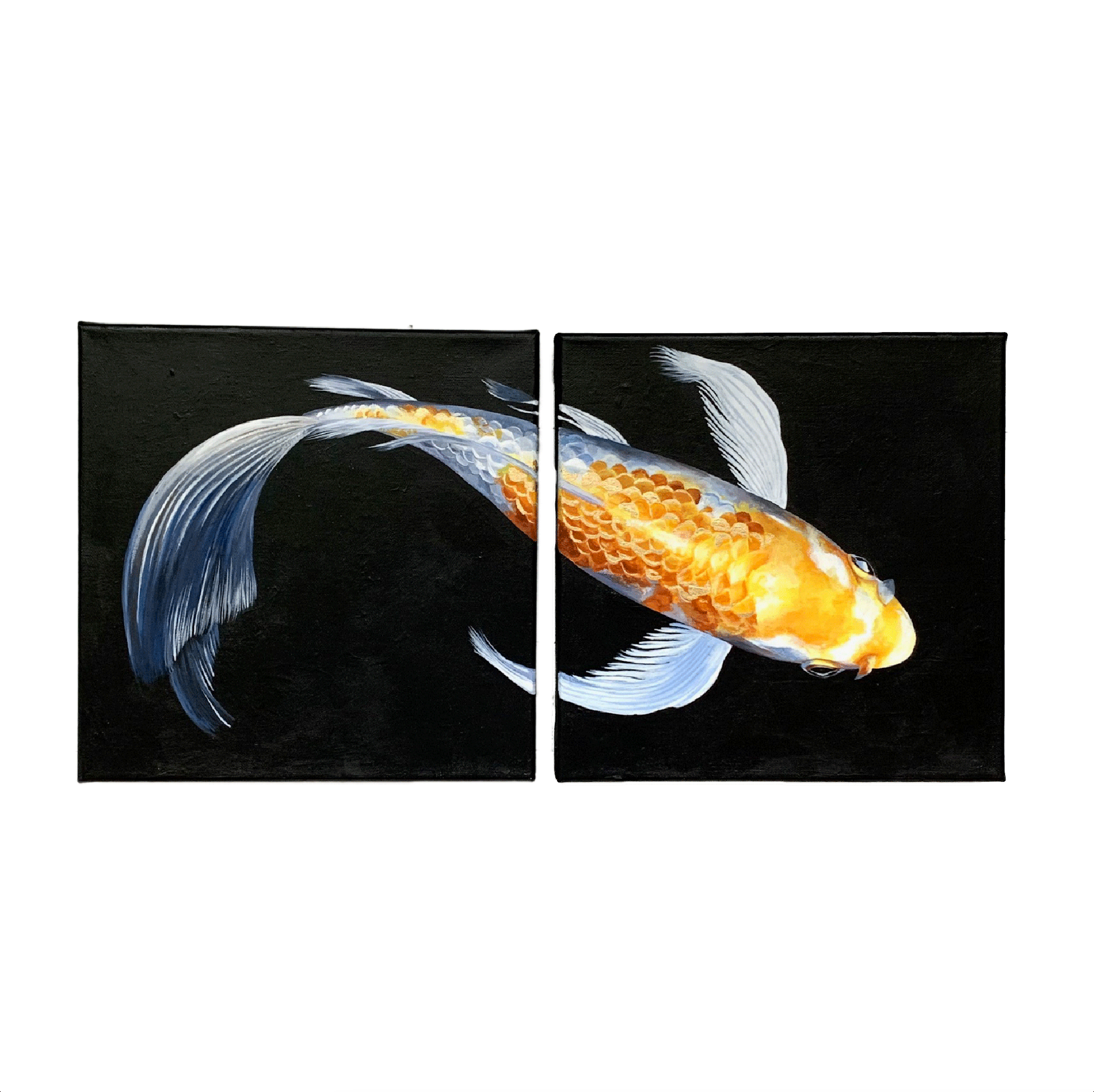 10"x10" Canvas - Golden Koi