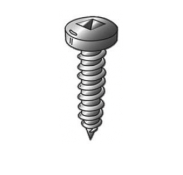 Screw 2x10"