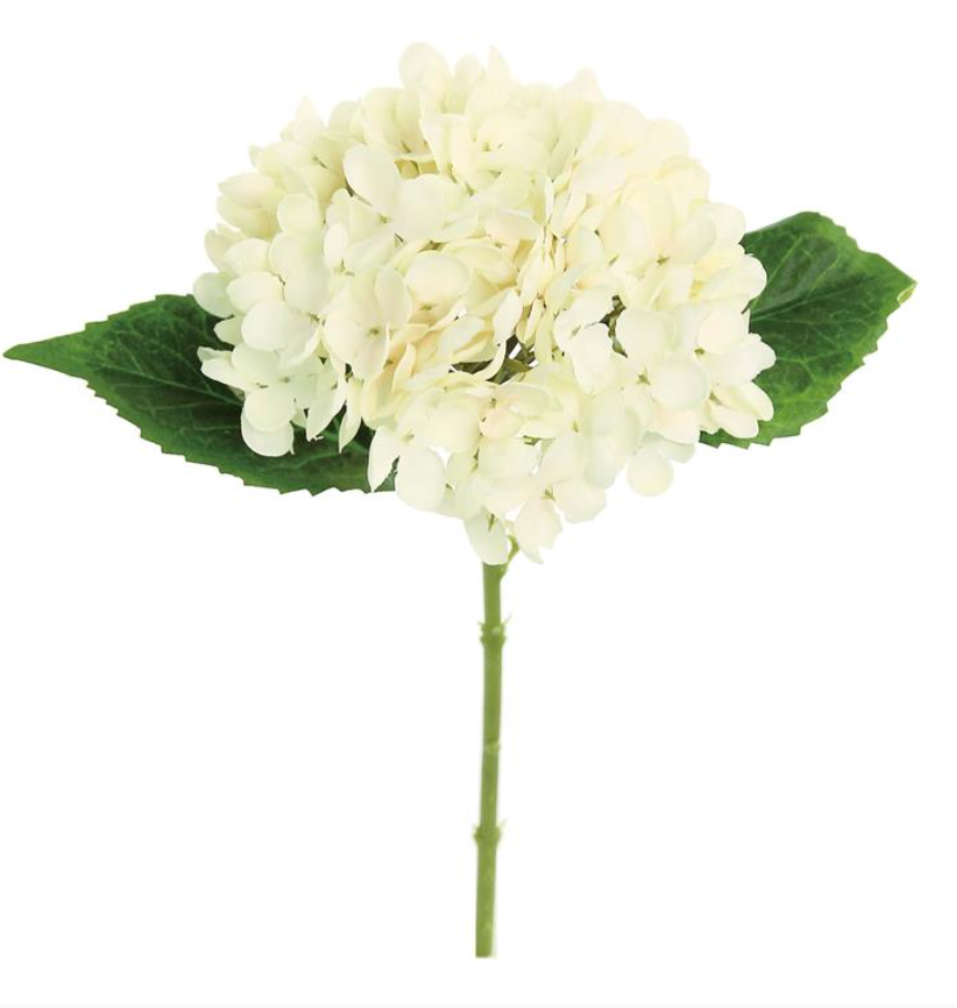 14" Hydrangea Cutting - Blush