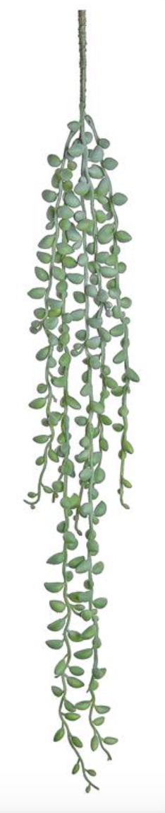 27" Hanging Senecio Vine - Green