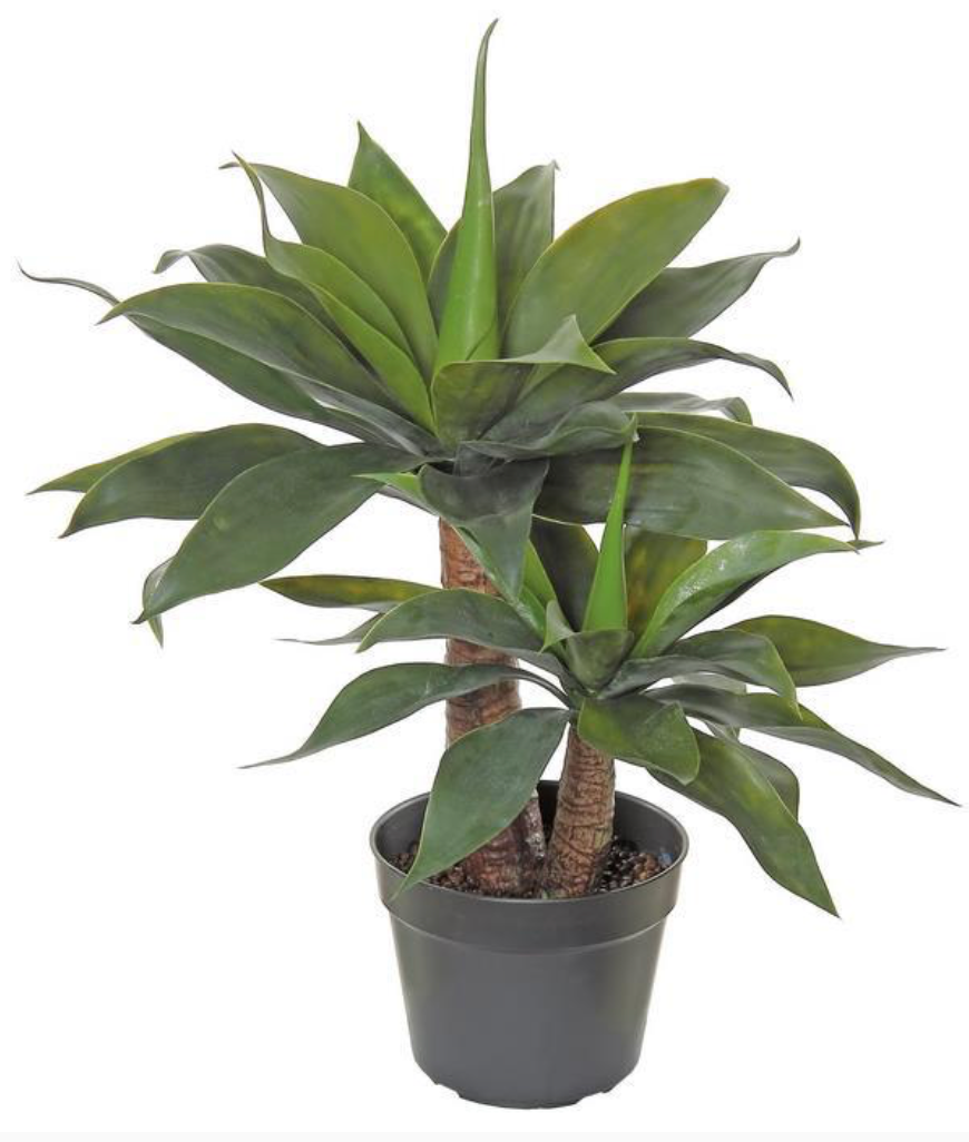 28" Potted Agave Plant in Pot - Green