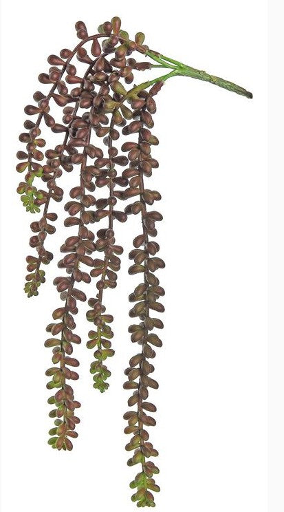 16.5" Jelly Bean Succulent - Burgundy