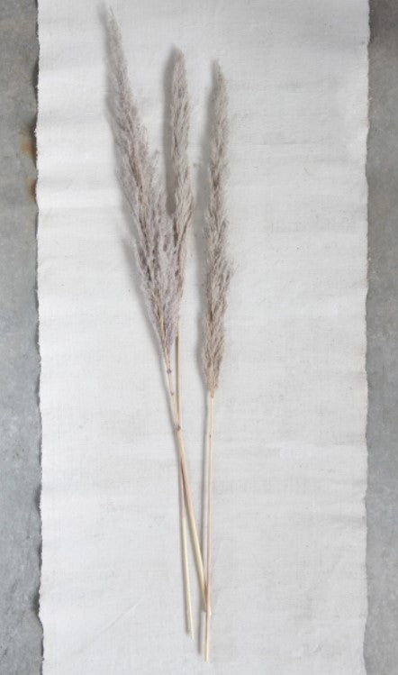 Dried Nat Pampas Grass Bunch