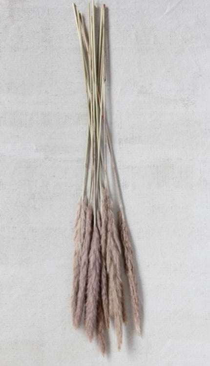 Dried Natural Fountain Grass Bunch