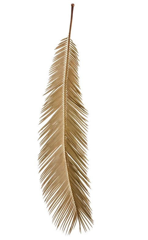 Dried Natural Cut Palm Leaf