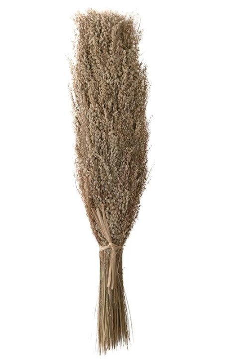 Dried Natural Star Grass Bunch