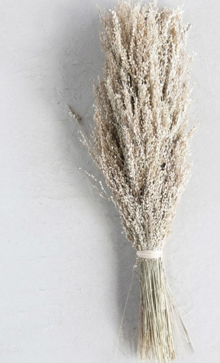 Dried Natural Star Grass Bunch