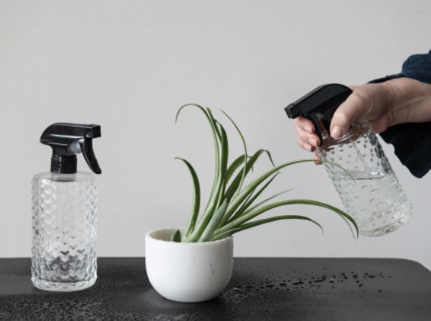 Embossed Glass Spray Bottle