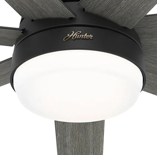 60" LED Phenomenon Fan